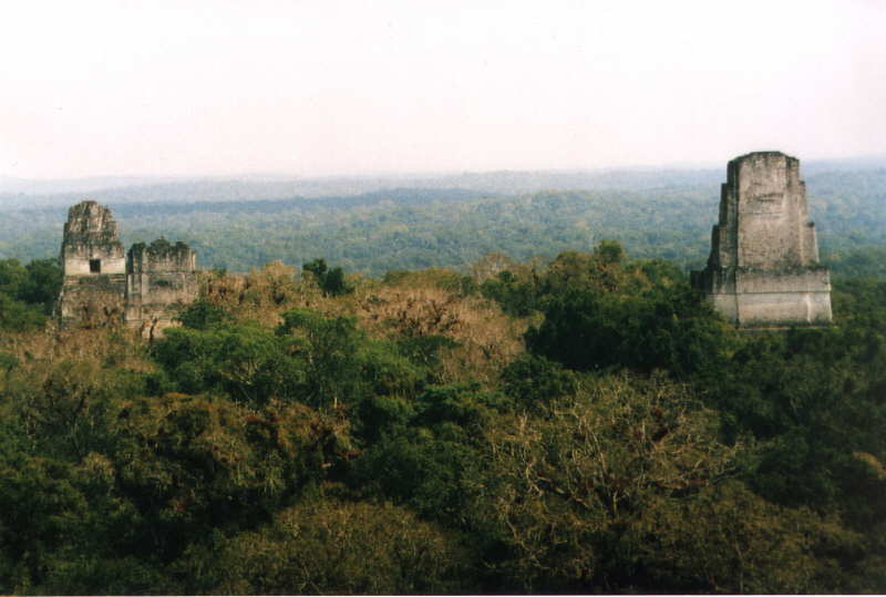 Blick vom gr&ouml;&szlig;ten Maya-Tempel (64 m; 711 n.Chr.) in Tikal