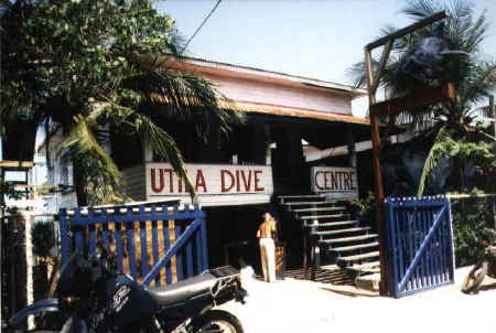 Utila Dive Center