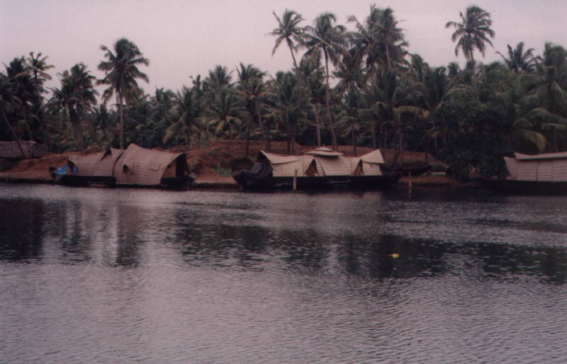Chinesisches Hausboot auf den Backwaters von Quilon nach Appelley