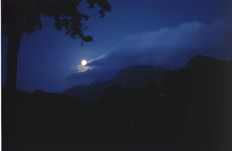 Nachthimmel in Nationalpark in Tamil Nadu