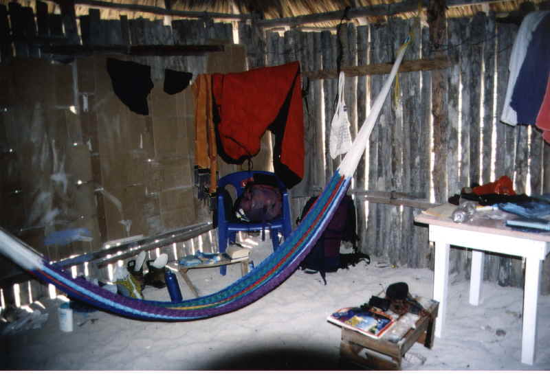 Ein Staubsauger w&auml;re nicht schlecht