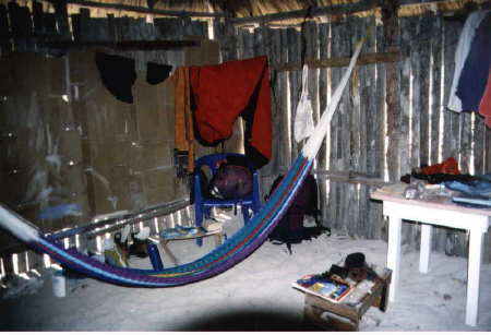 Ein Staubsauger w&auml;re nicht schlecht